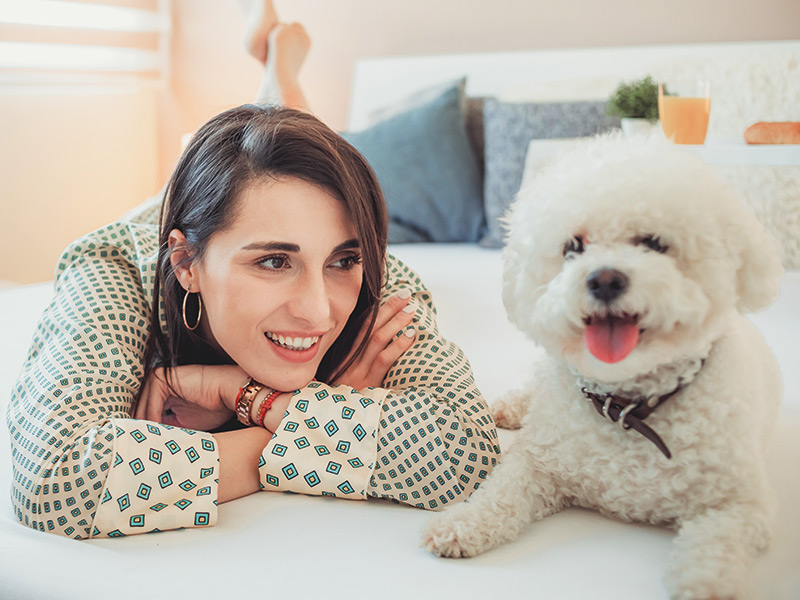 pet-friendly-hotel-in-myrtle-beach-the-sandbar-myrtle-beach